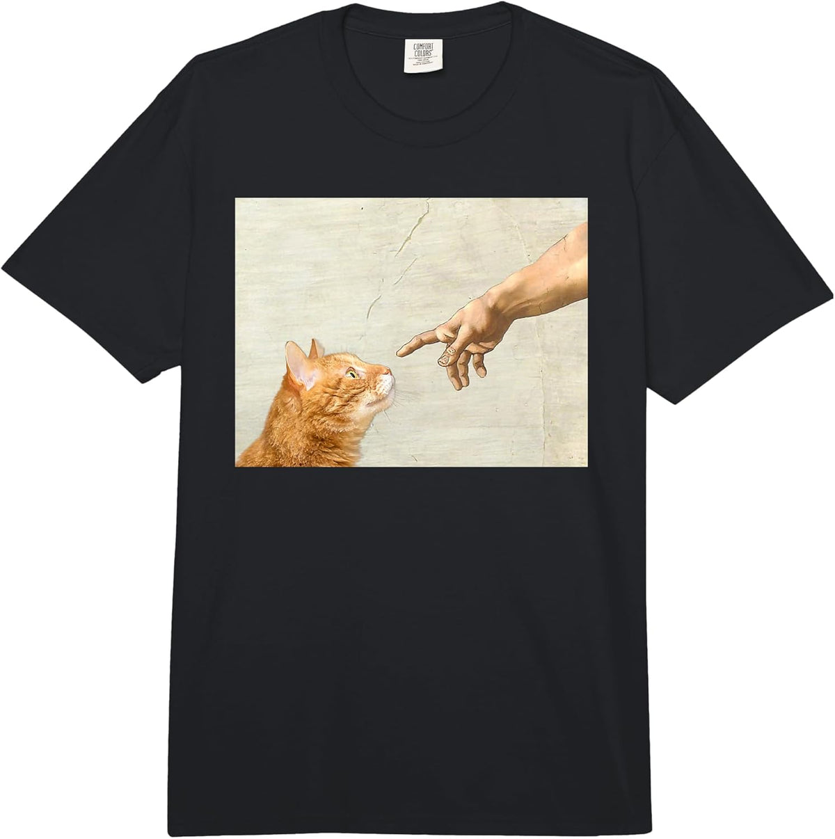 Cat Lovers