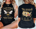 2 Sides Cicadas Reunion Tour Shirt Cicada Concert Tour 2024 States Cicada Double Brood XIII & XIX T-Shirts
