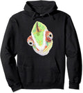 Chameleon Pullover
