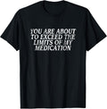 Funny Insult Tee, Joke Slogan Design, Humorous Quote T-Shirt