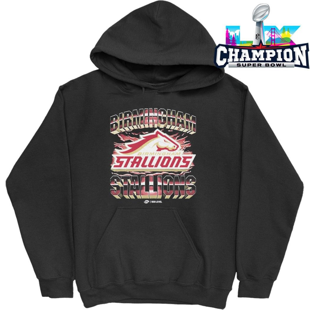 Birmingham Stallions Vintage Shirt