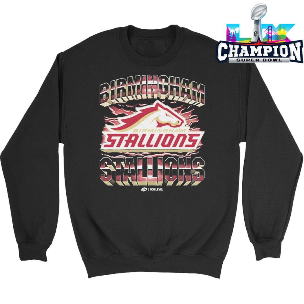 Birmingham Stallions Vintage Shirt
