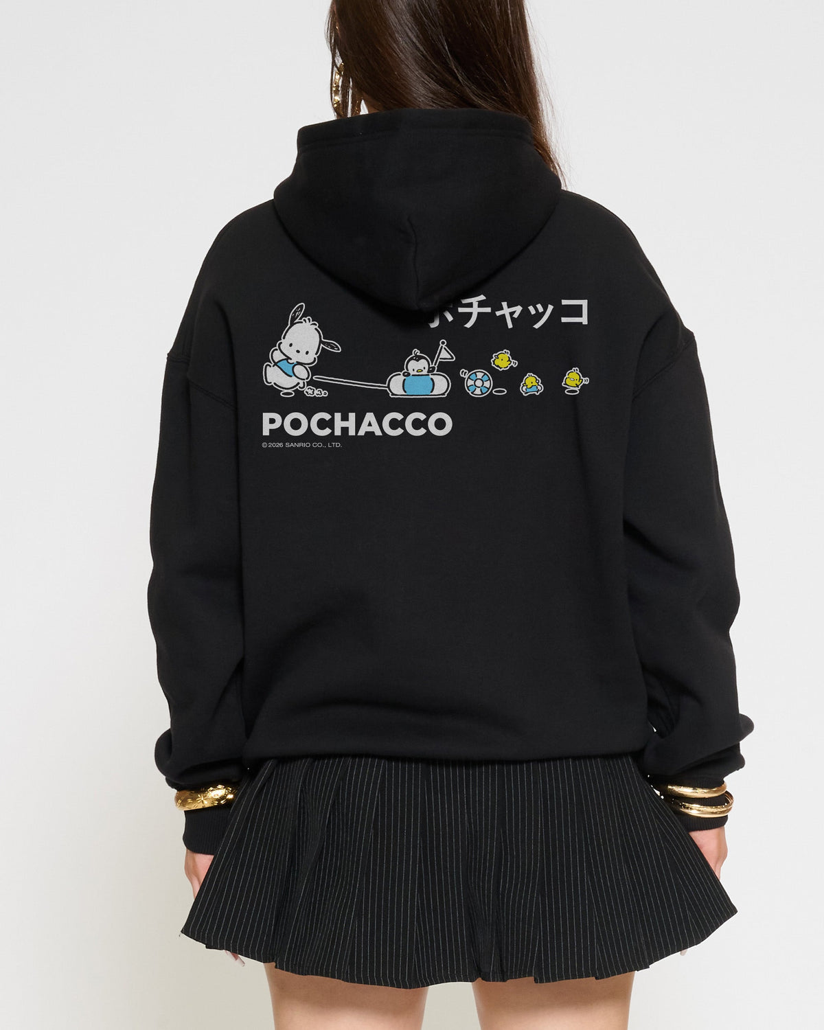 Pochacco Summer Stroll