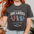 Childless Dog Lady Kamala Shirt Kamala Harris President 2024 Shirt Power Girl Power Democrat Equal Rights T-Shirts