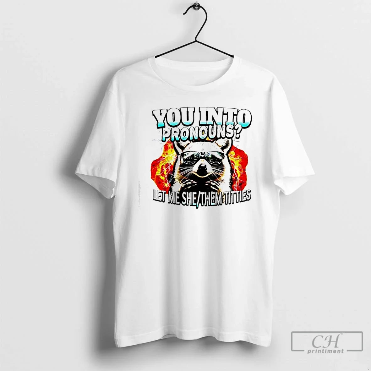 Classic Raccoon You Pronouns Let Me She Them Titties T-Shirts