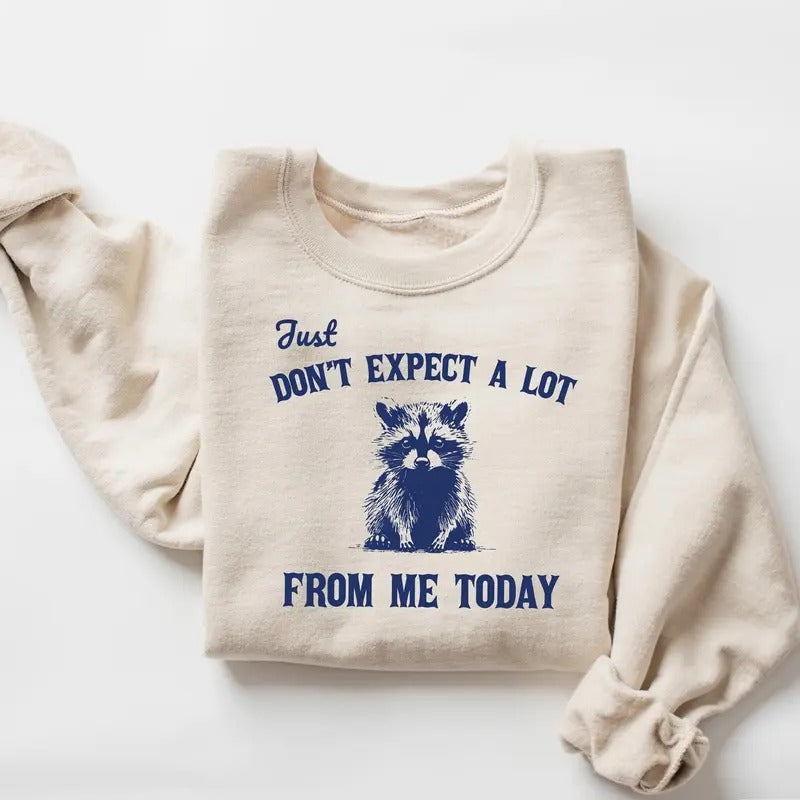 Don'T Expect Lot Me Today Funny Sarcastic Raccoon Shirt Retro Meme Humor T-Shirts