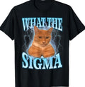 ERM What Sigma Meme Cat Ironic Brainrot Y2K T-Shirts