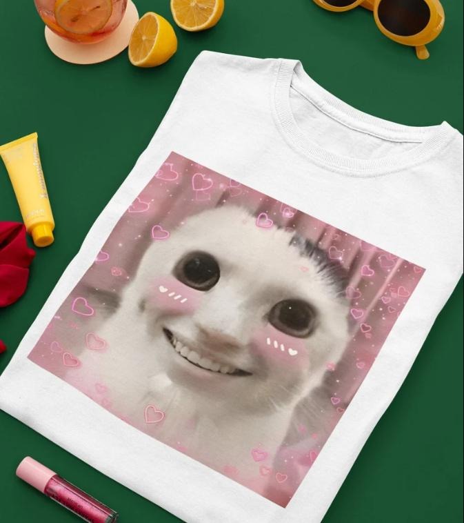 Goofy Ahh Cat Shirt Meme Dank Cursed Weirdcore Cringey Shirts Banana Cat I Got Too Silly T-Shirts