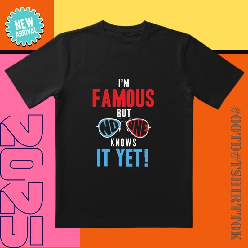'Invisible Celebrity' Orange Blue Contrast 'I'M Famous' Social Media T-Shirts