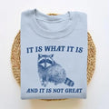 Is What Is Is Not Great Funny T-Shirts