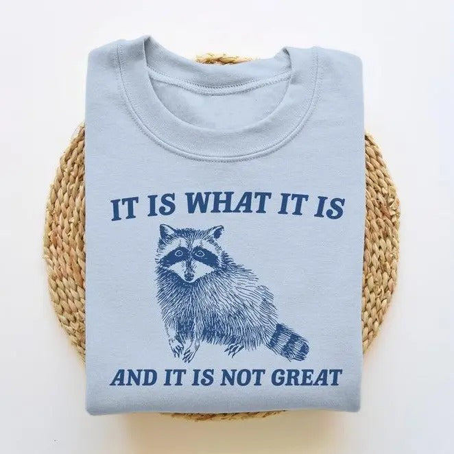 Is What Is Is Not Great Funny T-Shirts