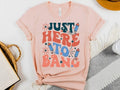 Just Here Bang Shirt Happy 4th July Shirt Memorial Day Shirt Independence Day Shirt USA Shirt T-Shirts