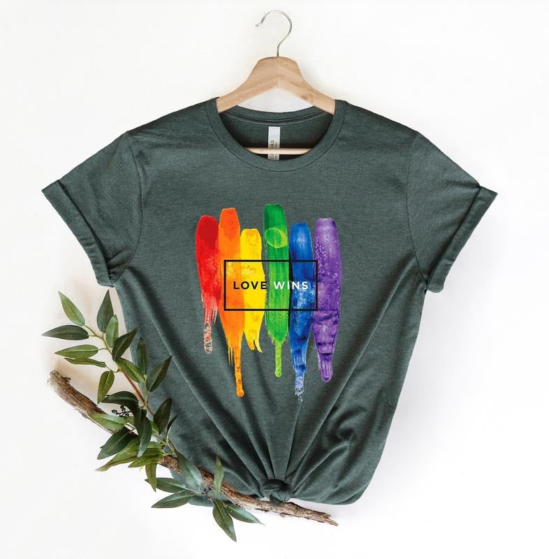 Love Wins LGBTQ+ Shirt Love Is Love Shirtpride Rainbow Shirt LGBT Shirt Pride Shirtwestern Pride Shirt Equality Shirt T-Shirts