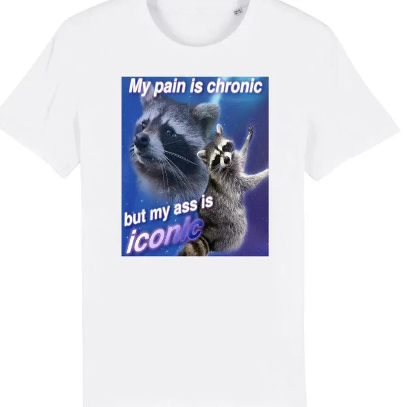 My Pain Is Chronic But My Ass Is Iconic Funny Raccoon Meme T-Shirts