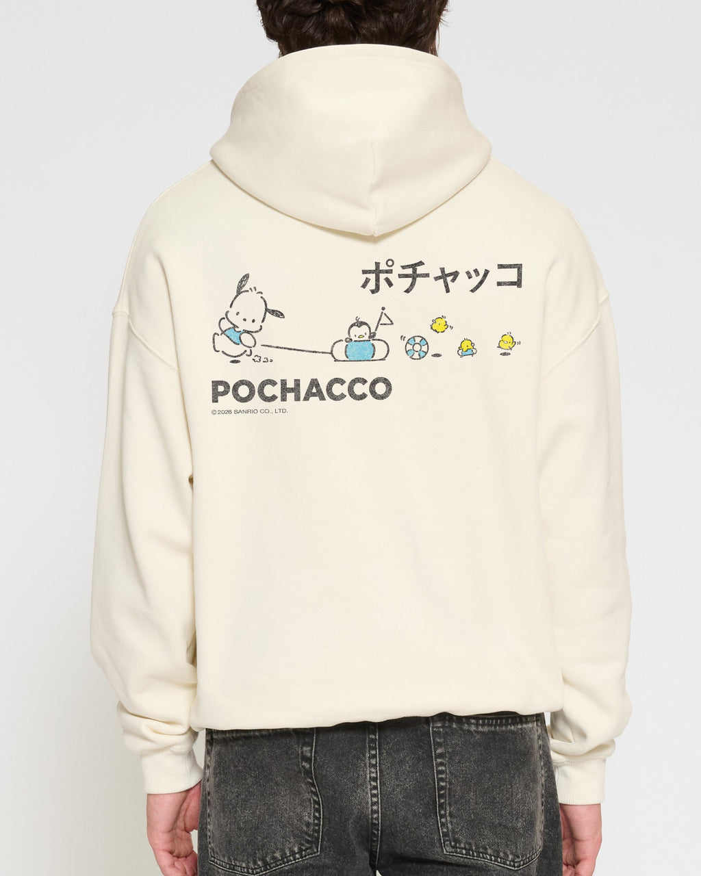 Pochacco Summer Stroll