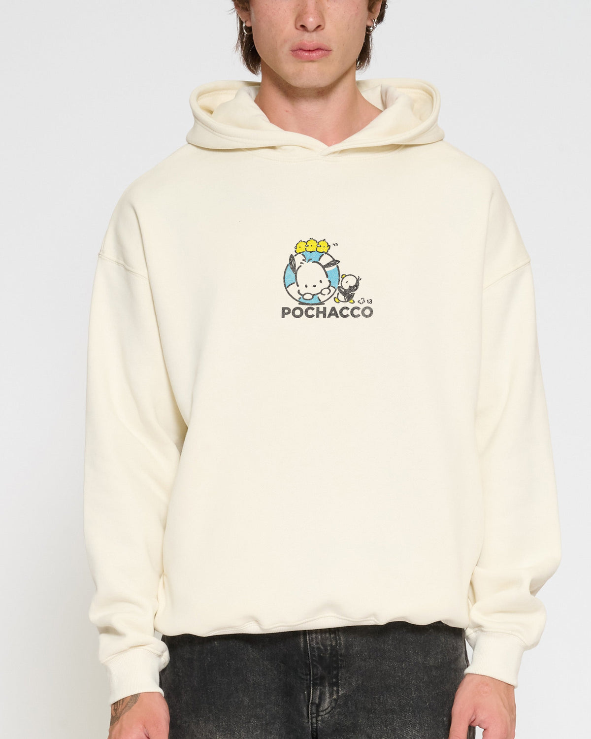 Pochacco Summer Stroll
