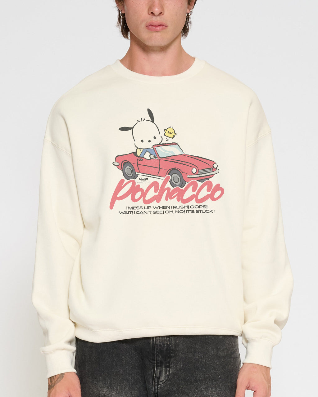 Pochacco Peak Hour
