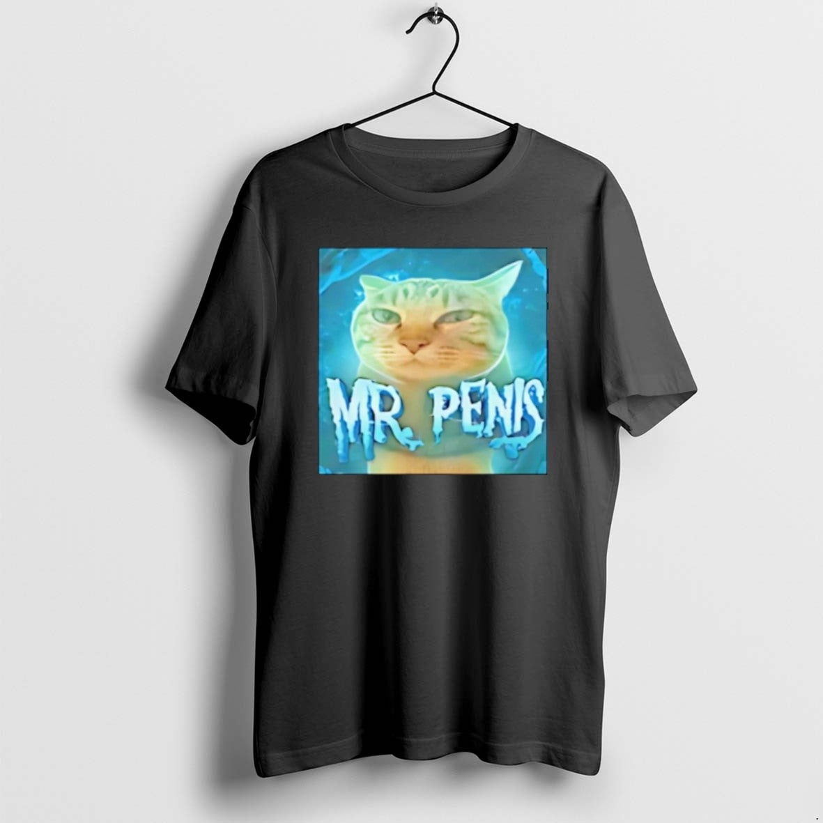 Official Mr Penis Cat Meme T-Shirts