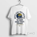 Officials What Are You Doing Beat Ohio State Today Go Blue Michigan Wolverines 2025 T-Shirts