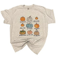 Pumpkin Variety Shirt T-Shirts