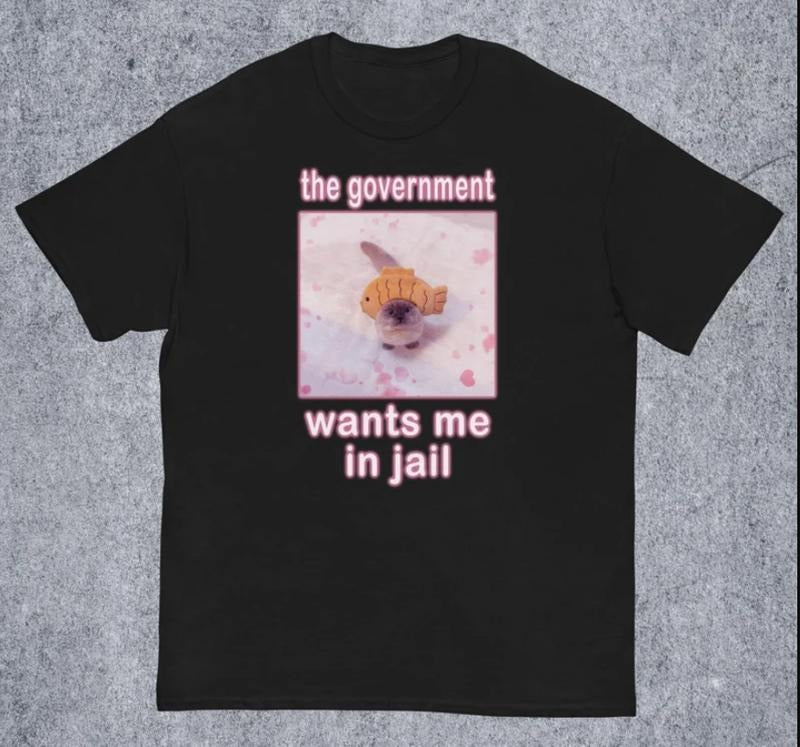 Government Wants Me Jail Funny Cat Meme T-Shirts