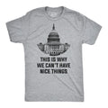 This Is Why We Can'T Have Nice Things Funny Anti Capitol Political Funny Cool Vintage Light Grey T-Shirts