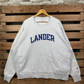 Vintage Ncaa Lander Lander Lander Jumper Lander University Embroidery Logo Grey Colour 3XLarge T-Shirts