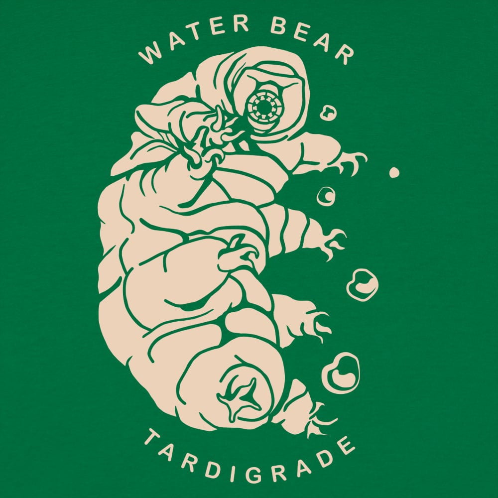 Water Bear