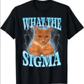 What Sigma Meme Cat Ironic Brainrot T-Shirts