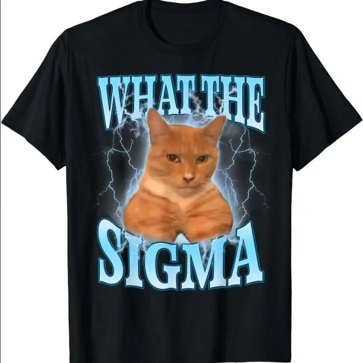 What Sigma Meme Cat Ironic Brainrot T-Shirts