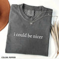 Comfort Colors I Could Be Nicer Shirt Funny Humor Shirt Funny Quote Sarcasm Shirt Woman T-Shirts