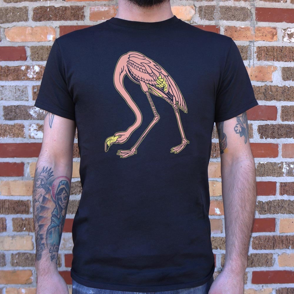 Audubon Flamingo