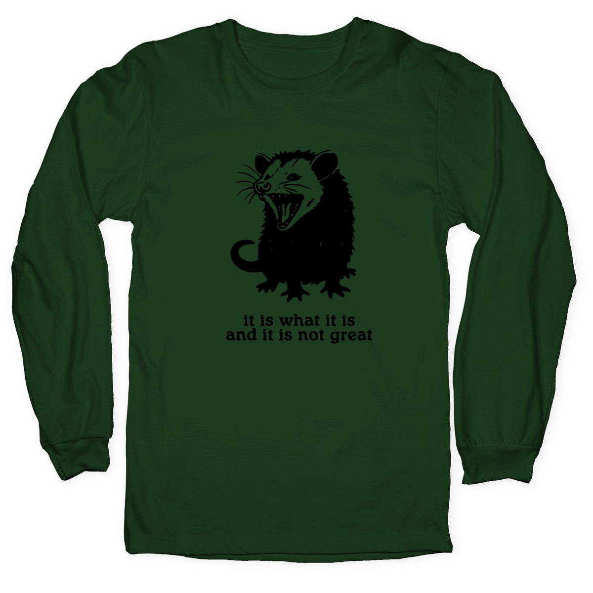 It Is What It Is Longsleeve Tee