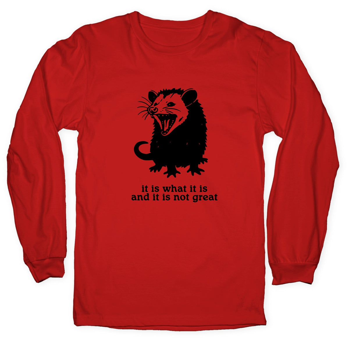 It Is What It Is Longsleeve Tee