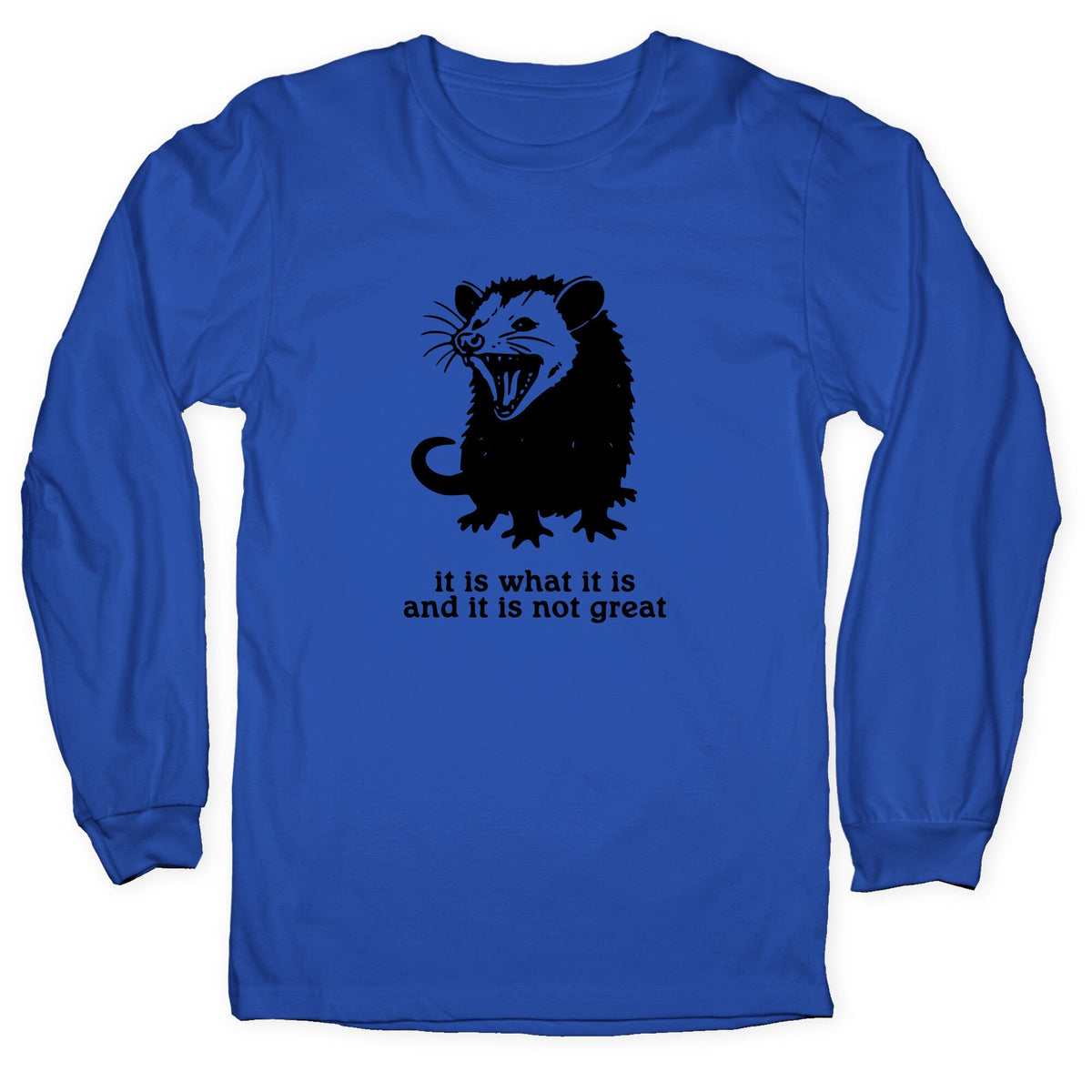 It Is What It Is Longsleeve Tee