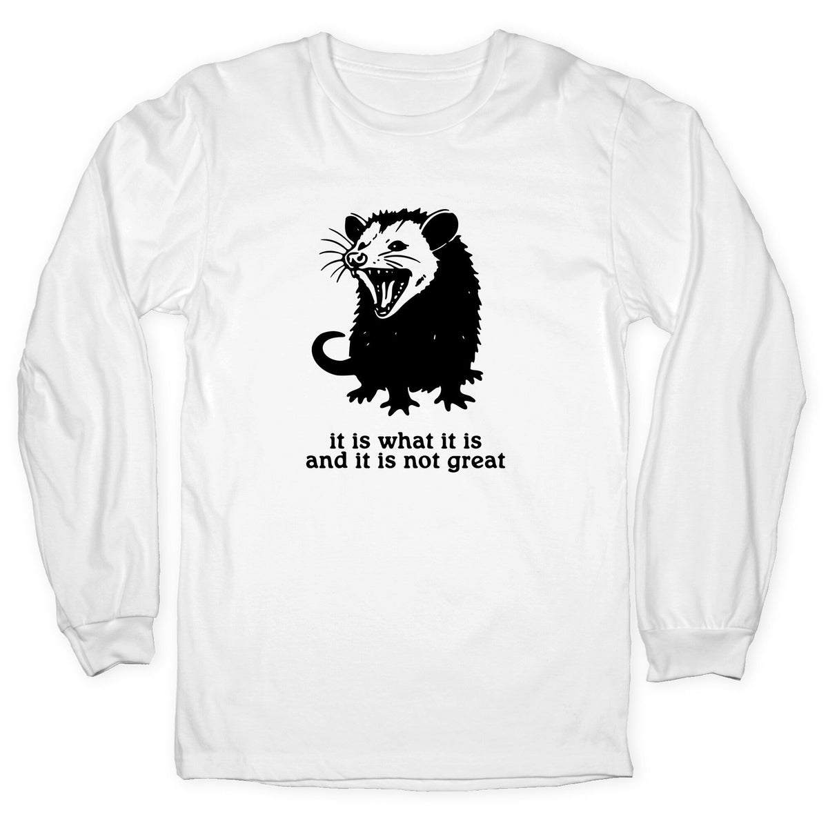 It Is What It Is Longsleeve Tee