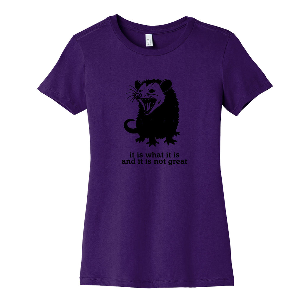 It Is What It Is Womens Cotton Tee