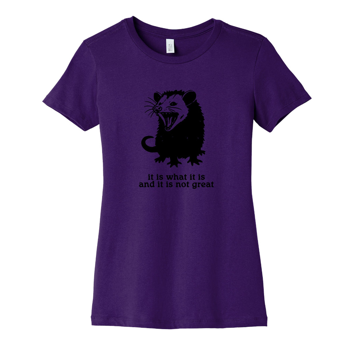 It Is What It Is Womens Cotton Tee