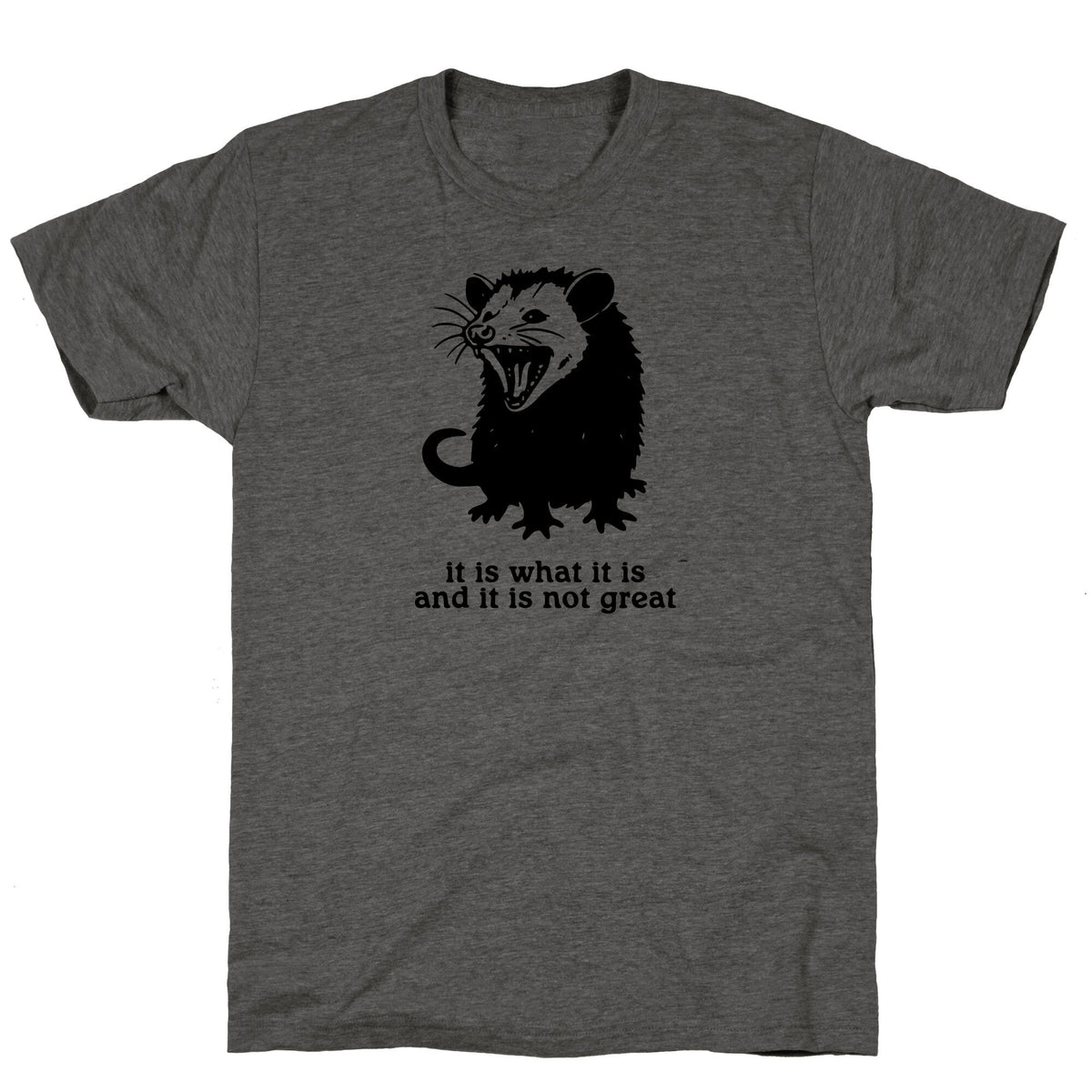 It Is What It Is Unisex Triblend Tee