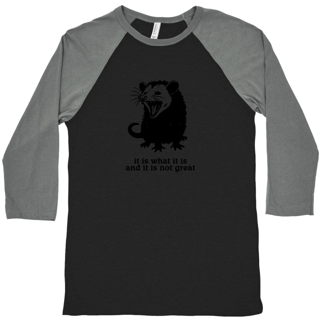 It Is What It Is Baseball Tee