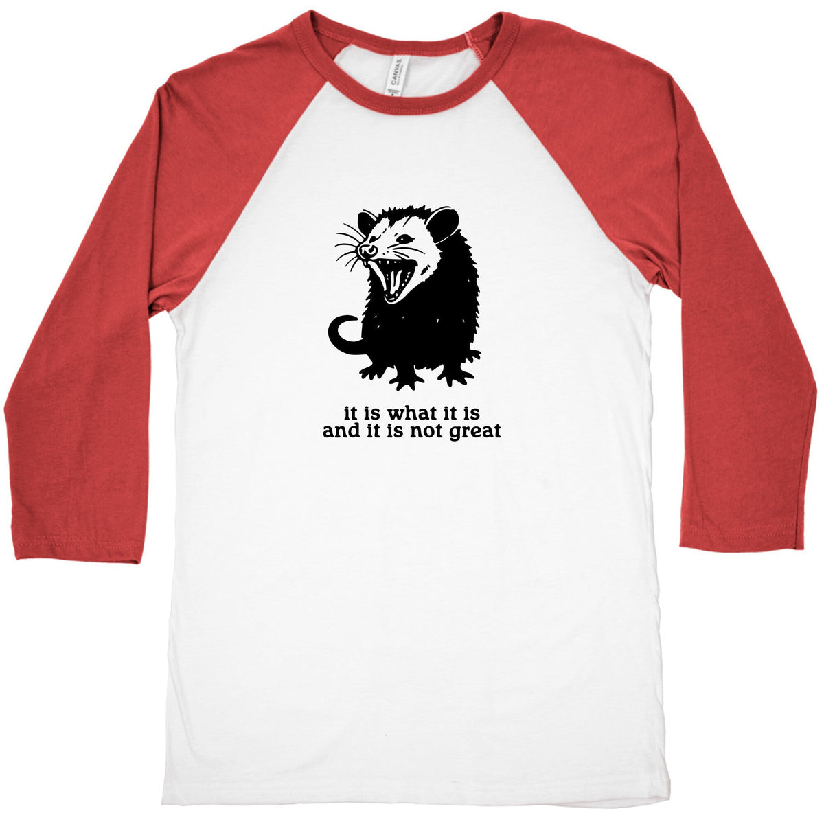 It Is What It Is Baseball Tee