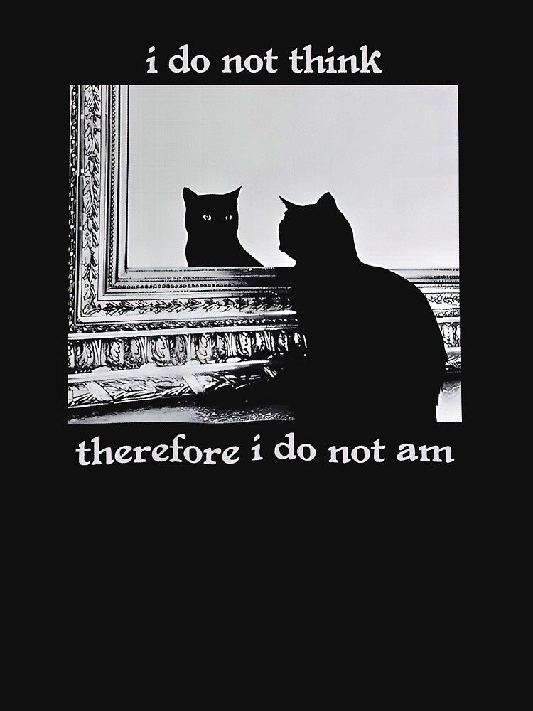 I Do Not Think Therefore I Do Not Am Funny by Nonvacant
