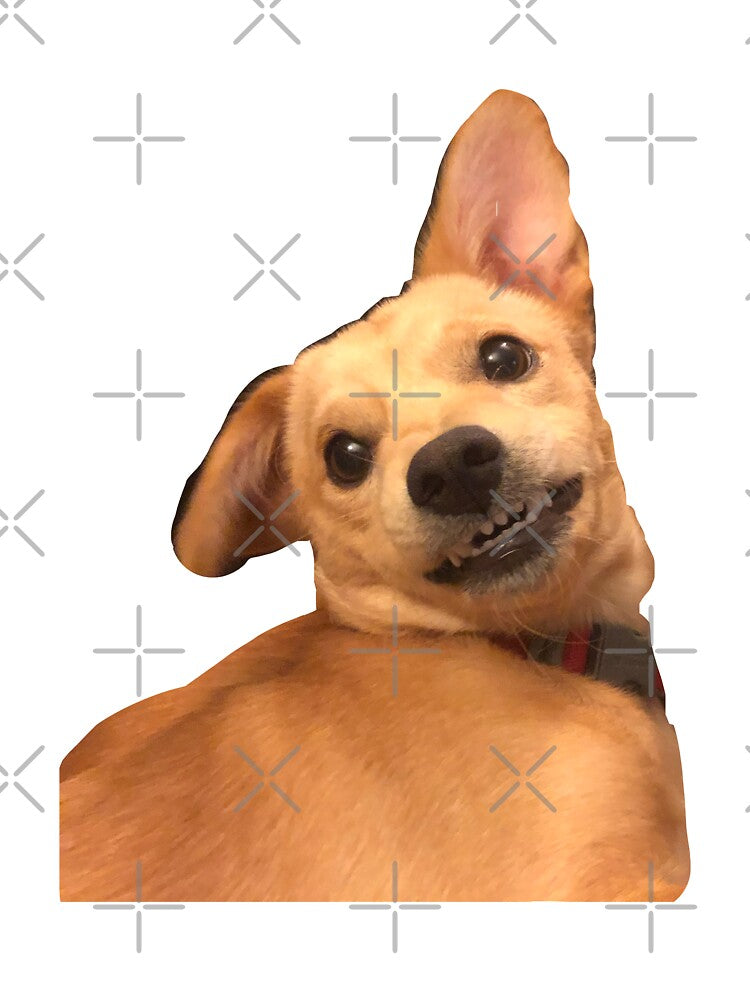 Happy dog by ashlyngawel