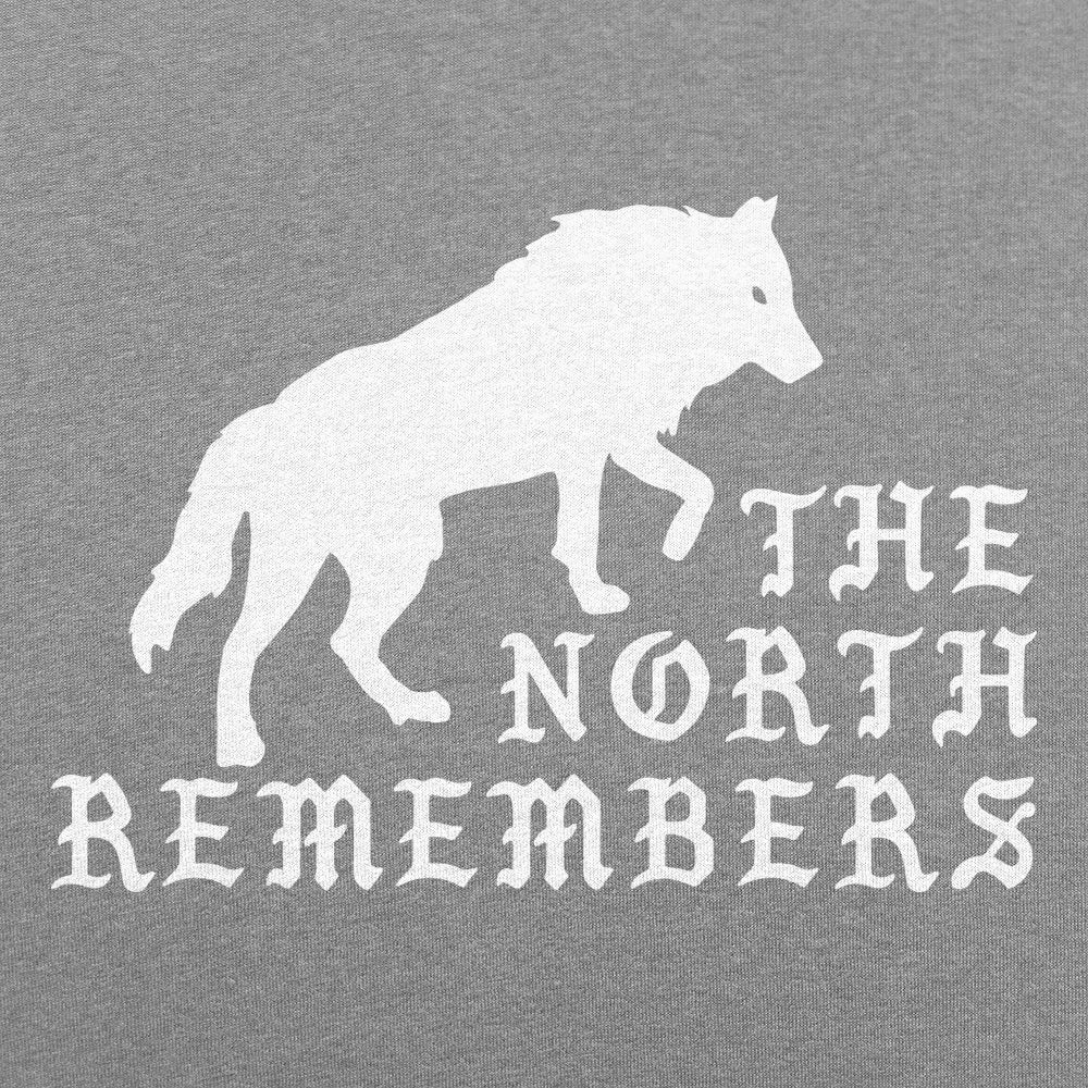 The North Remembers