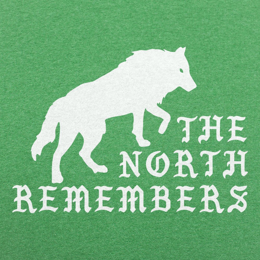 The North Remembers